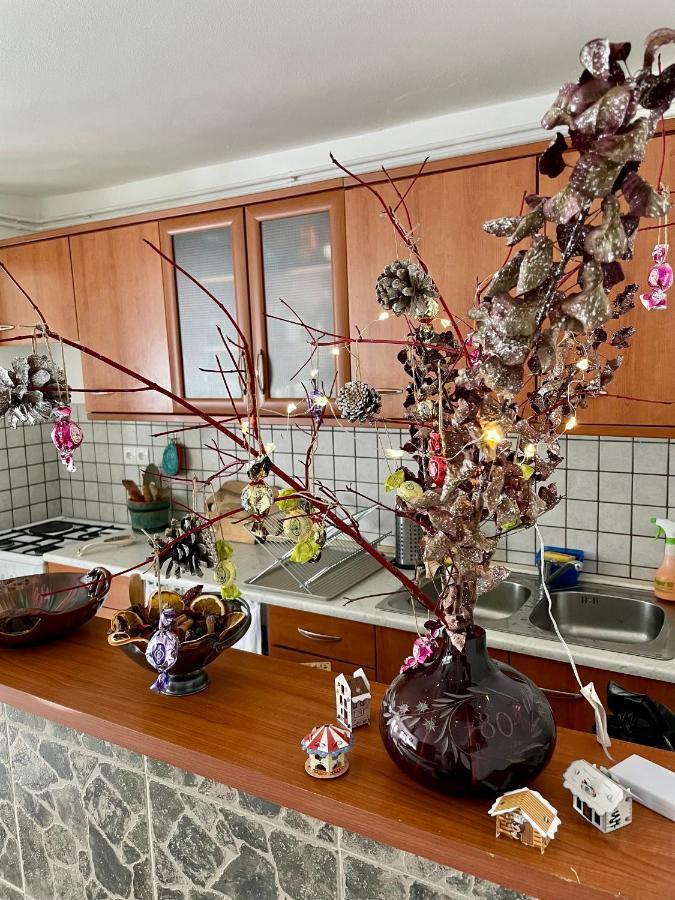 보베츠 Apartma Pri Soci 아파트 외부 사진